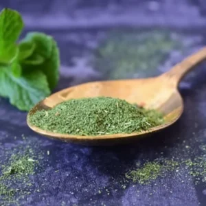 Mint Leaves (Pudina Dry)