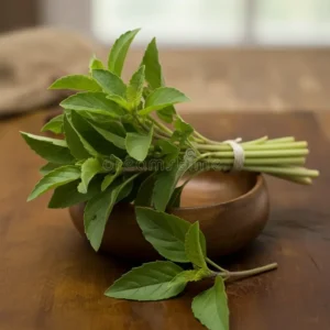 Tulsi Leaves (Holy Basil)