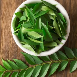 Curry Leaves (Kadi Patta)
